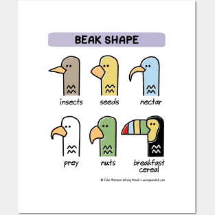 beak shape Posters and Art